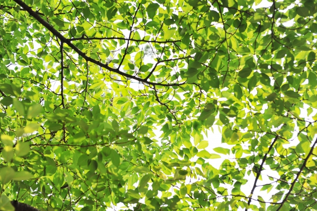 Point2 緩和ケアの高度な専門性